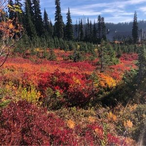 Meet your Posher, Jill